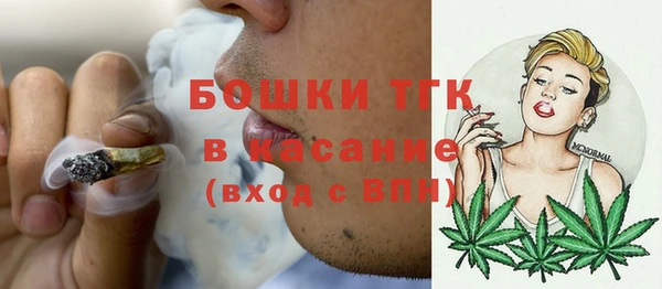 ПСИЛОЦИБИНОВЫЕ ГРИБЫ Вязьма
