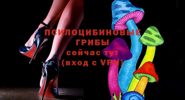 ПСИЛОЦИБИНОВЫЕ ГРИБЫ Вязьма