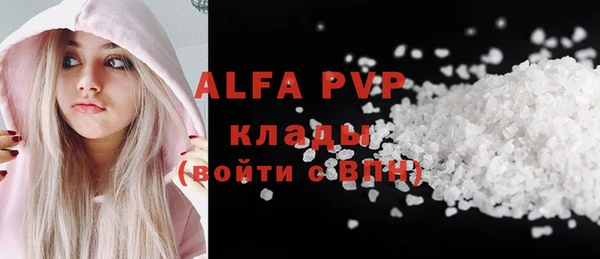 стафф Вяземский