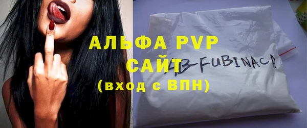 ПСИЛОЦИБИНОВЫЕ ГРИБЫ Вязьма