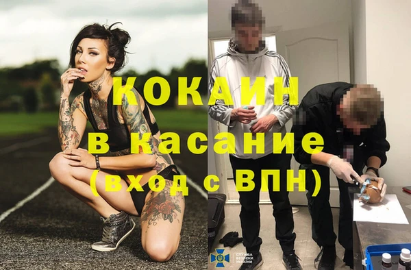 стафф Вяземский