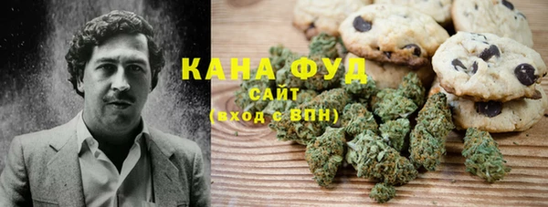 ПСИЛОЦИБИНОВЫЕ ГРИБЫ Вязьма