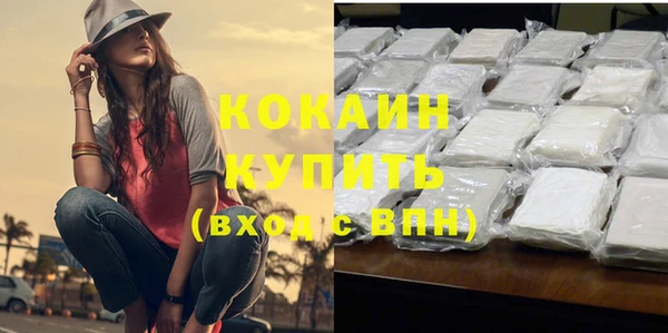 стафф Вяземский