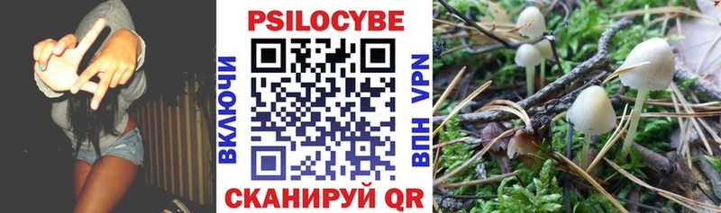 Галлюциногенные грибы Psilocybe Навашино