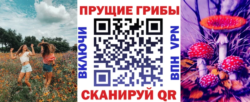 Купить закладки  Навашино  Псилоцибиновые грибы MAGIC MUSHROOMS 